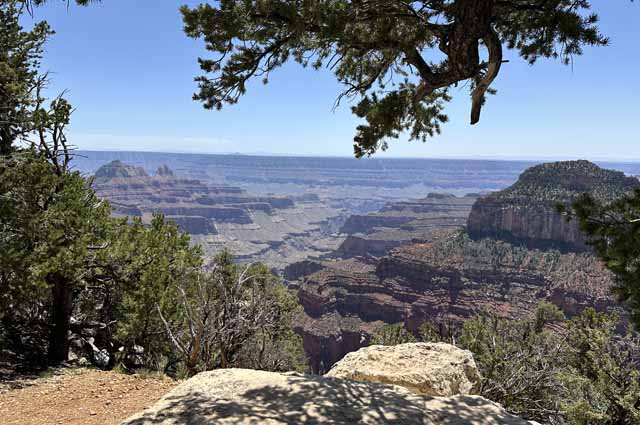 North Rim of the Grand Canyon in Spring