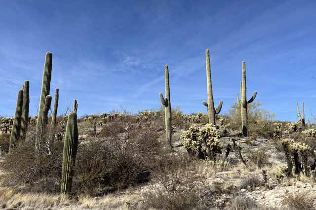 National Parks Near Phoenix